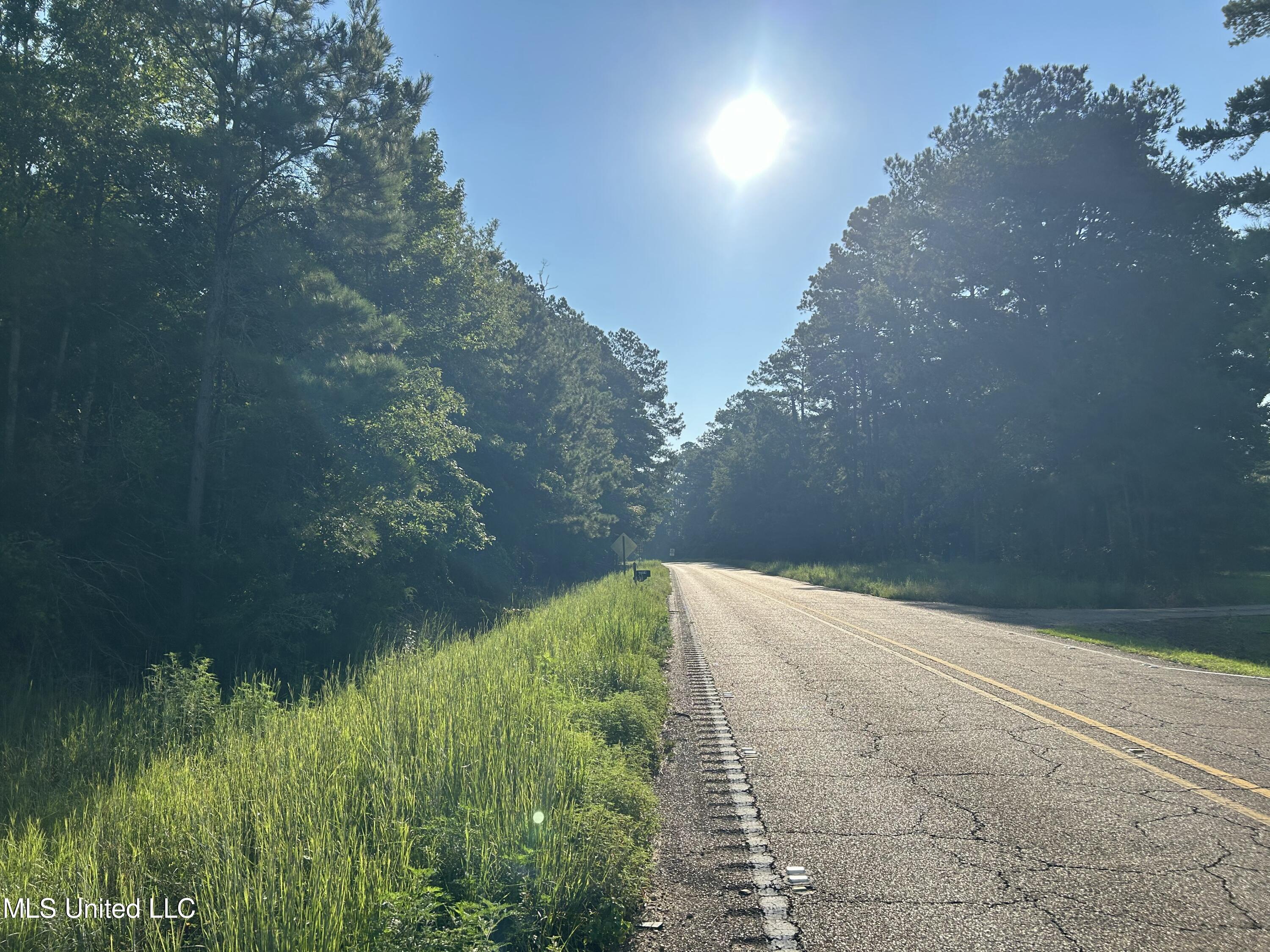 Tbd Tbd Highway Ruth, MS 39662 - Photo 2 of 16 IMG_4703