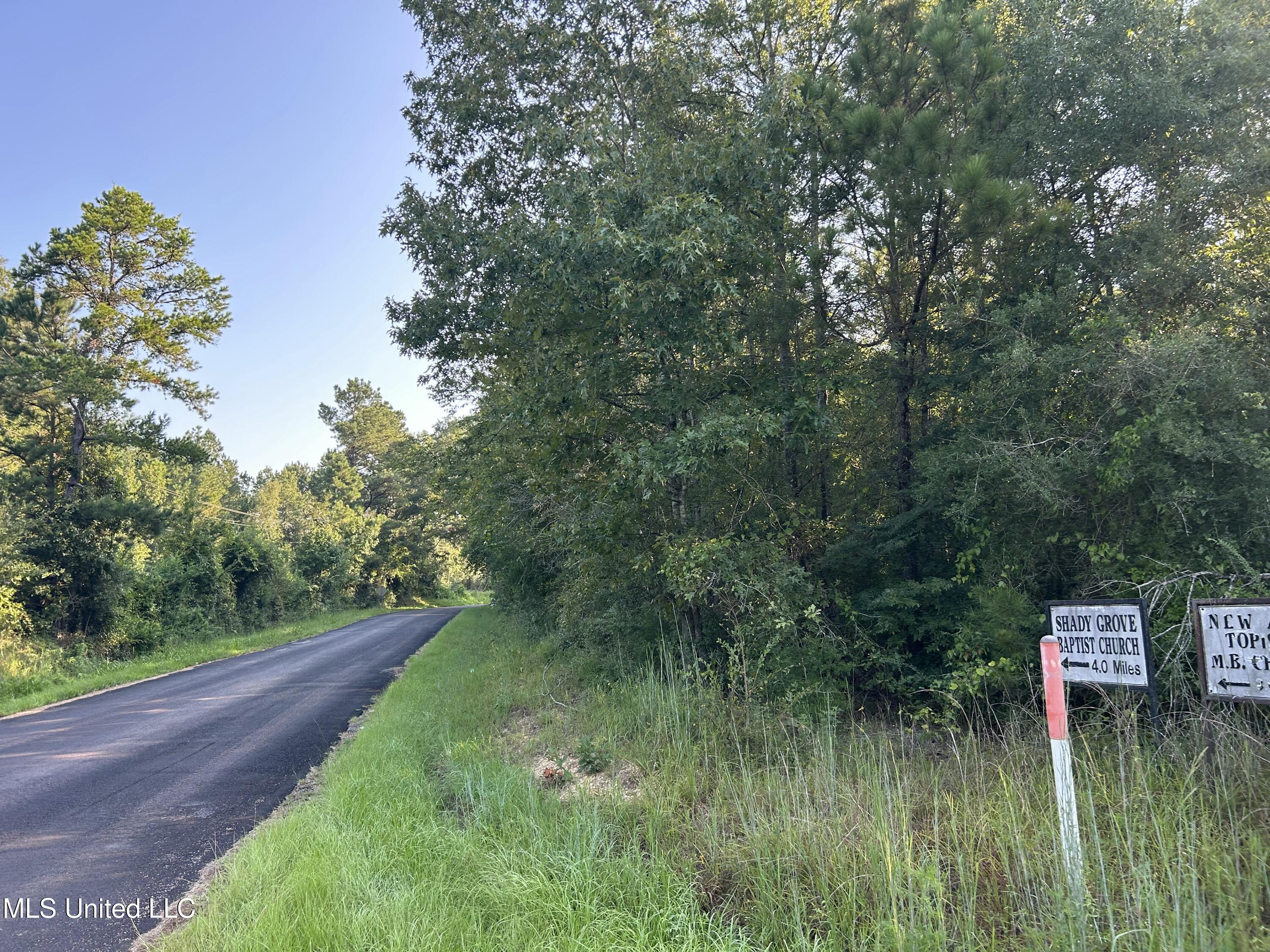 Tbd Tbd Highway Ruth, MS 39662 - Photo 3 of 16 IMG_4705
