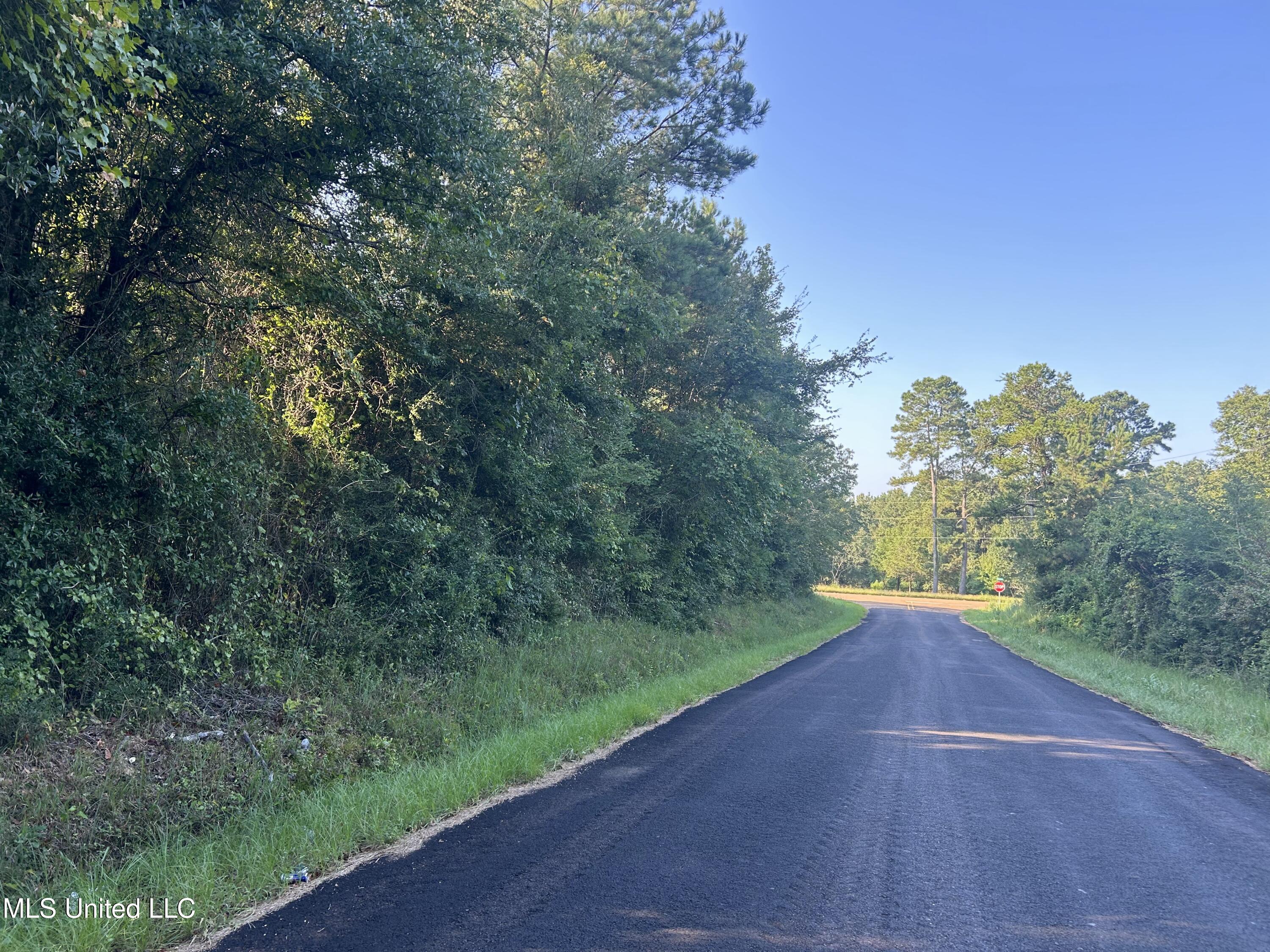 Tbd Tbd Highway Ruth, MS 39662 - Photo 4 of 16 IMG_4692 2
