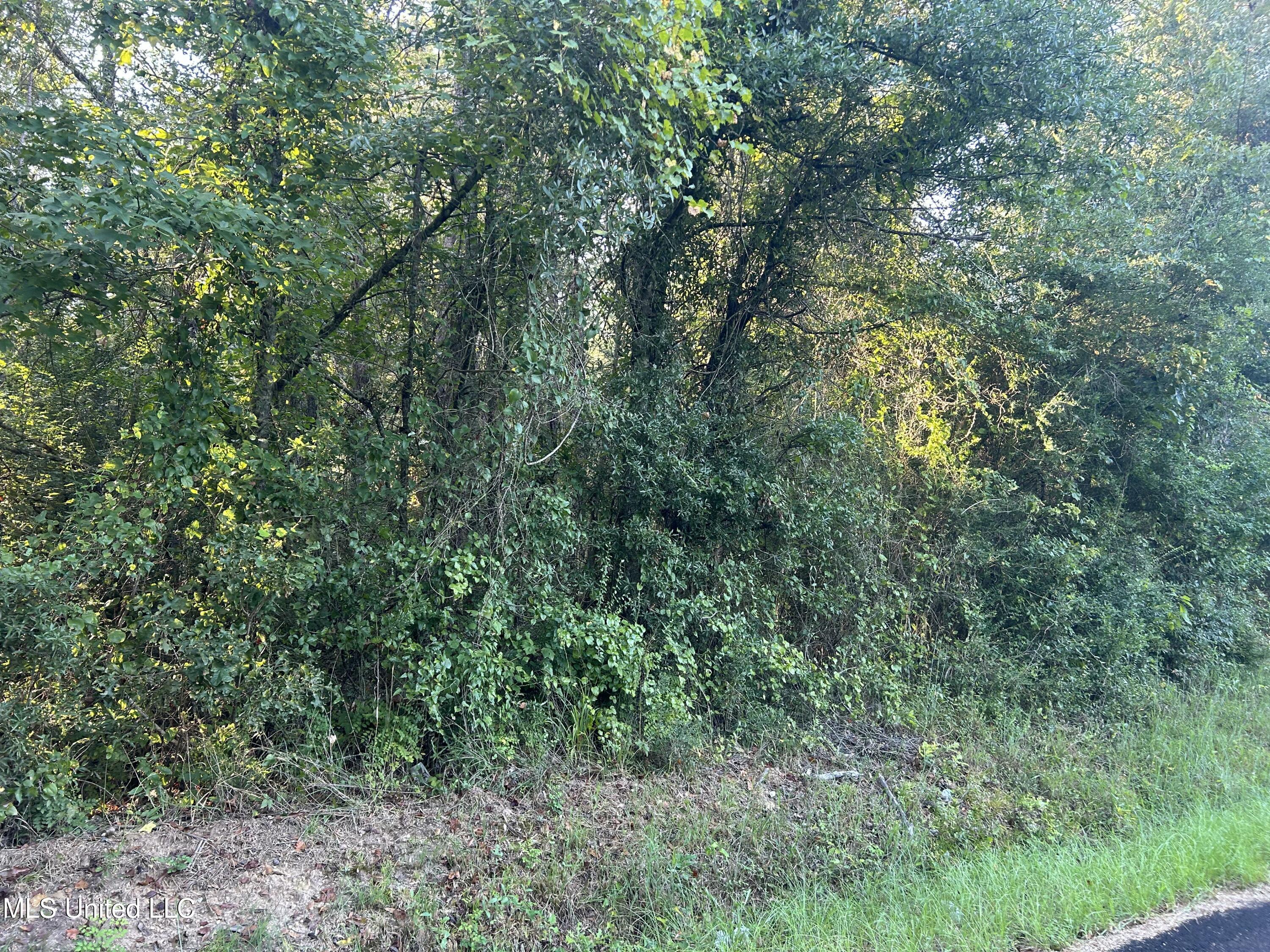 Tbd Tbd Highway Ruth, MS 39662 - Photo 5 of 16 IMG_4693 2