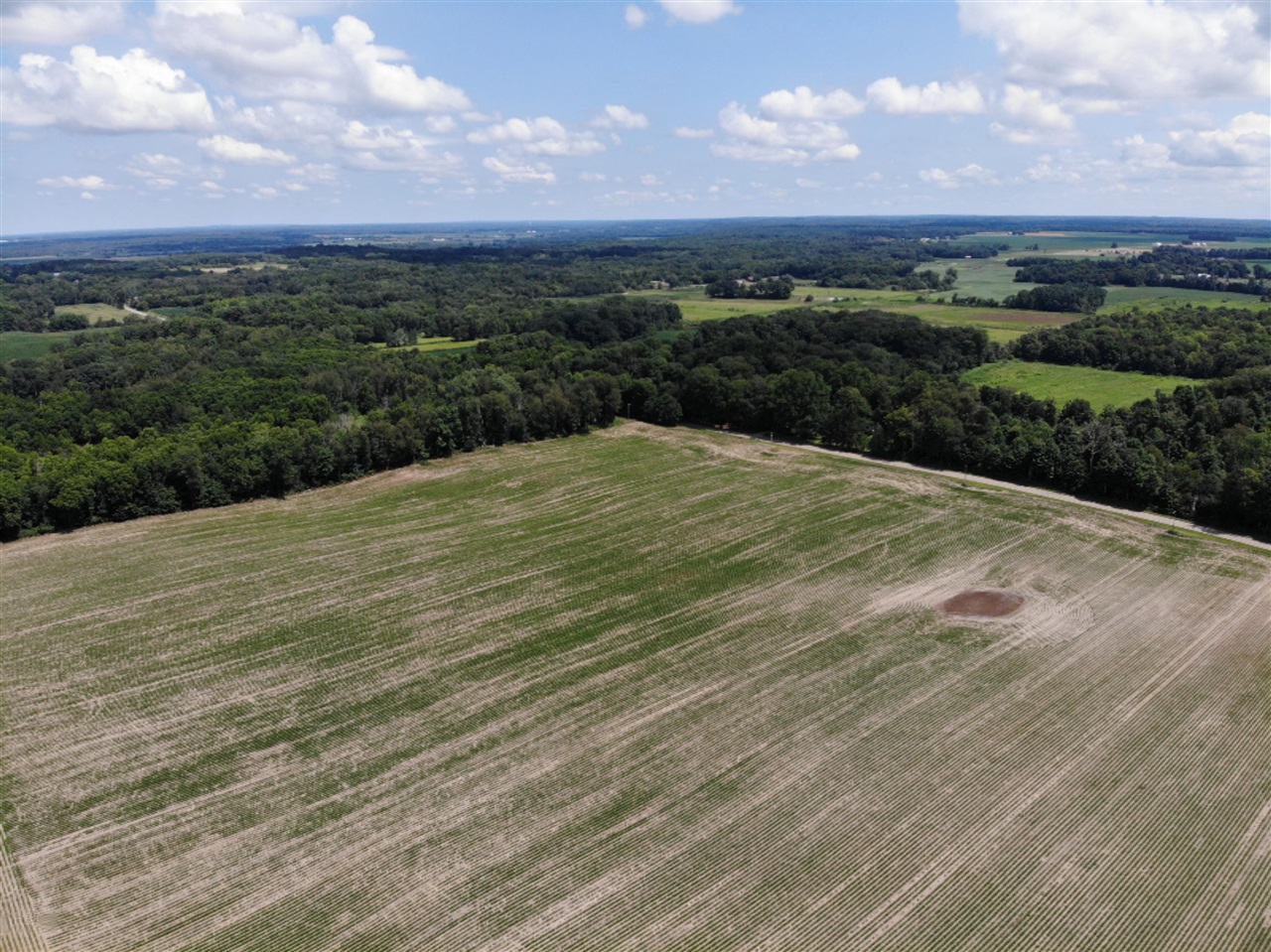 Decatur Road Dowagiac, MI 49047 - Photo 1 of 15