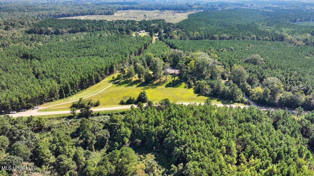 2694 Highway 501 Raleigh, MS 39153 - Photo 39 of 77 41-2694 MS-501 _ Home Tours MS