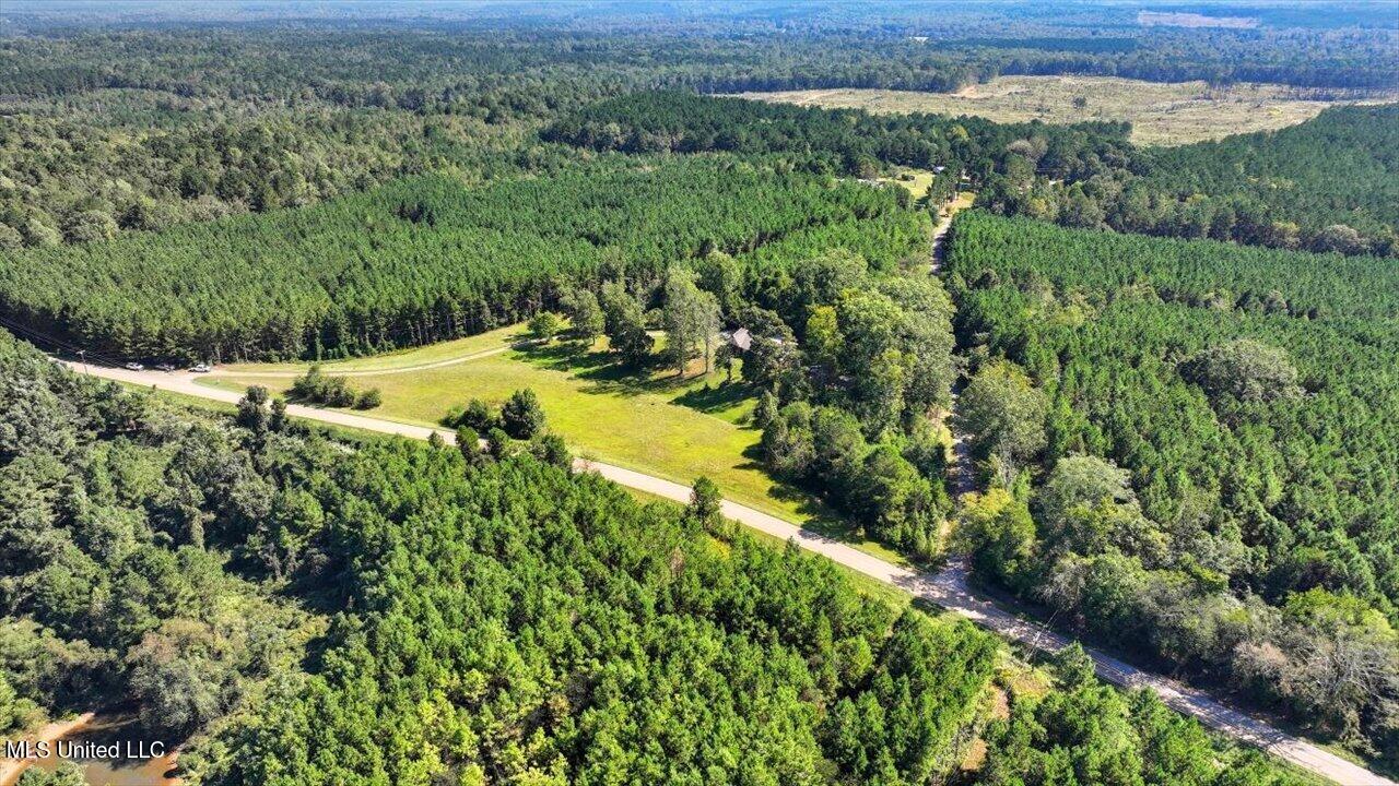 2694 Highway 501 Raleigh, MS 39153 - Photo 40 of 77 42-2694 MS-501 _ Home Tours MS