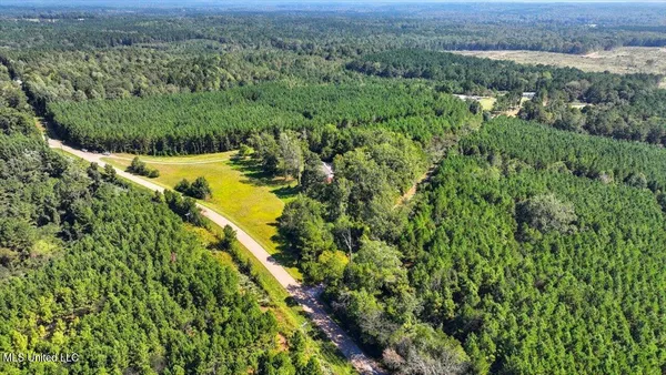 $375,000 | 2694 Highway 501, Raleigh, MS 39153