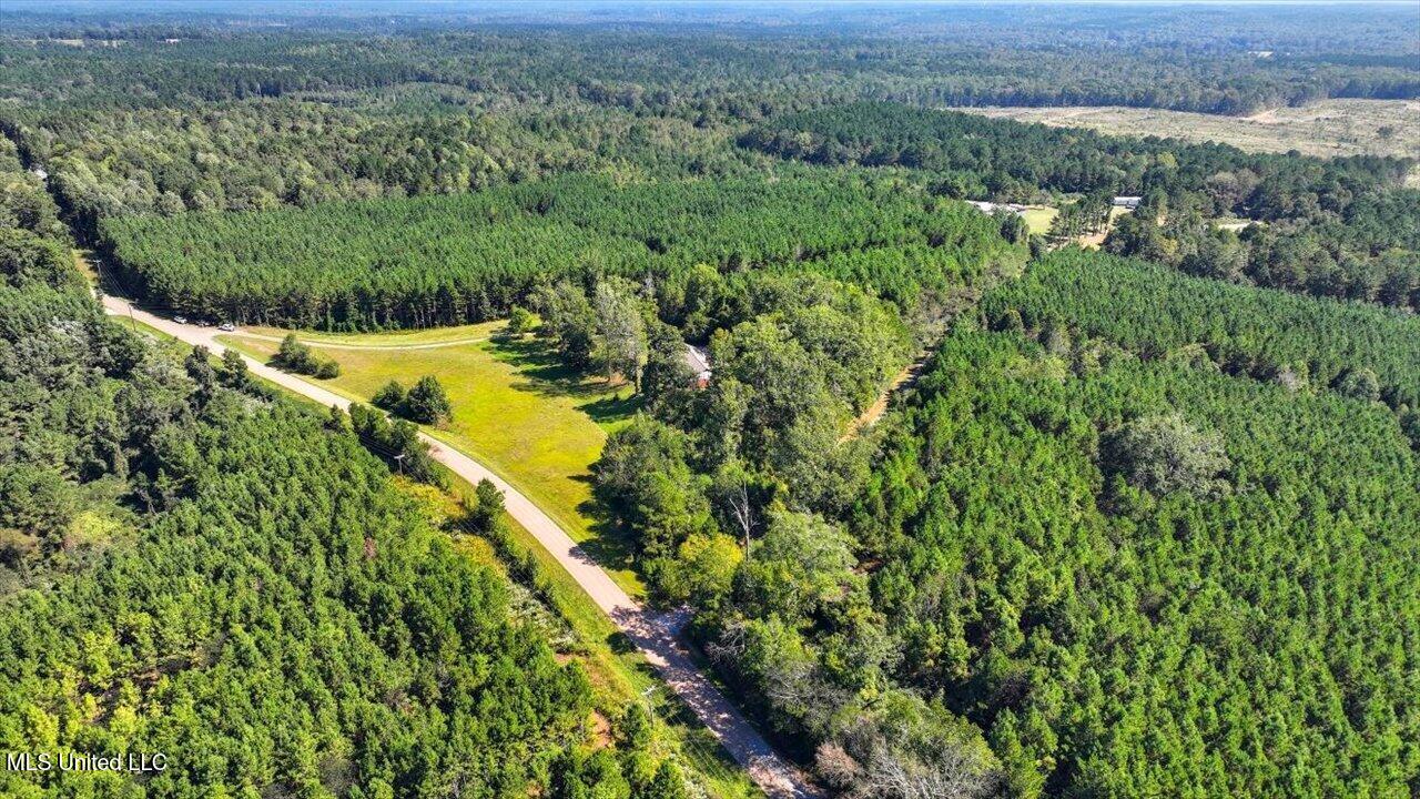 2694 Highway 501 Raleigh, MS 39153 - Photo 41 of 77 43-2694 MS-501 _ Home Tours MS