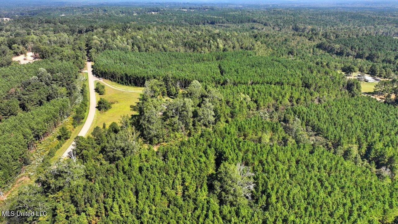 2694 Highway 501 Raleigh, MS 39153 - Photo 42 of 77 44-2694 MS-501 _ Home Tours MS