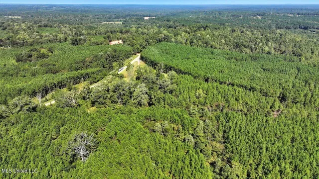 $394,900 | 2694 Highway 501, Raleigh, MS 39153