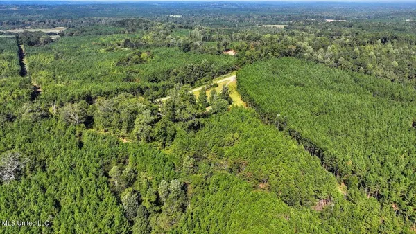 $375,000 | 2694 Highway 501, Raleigh, MS 39153