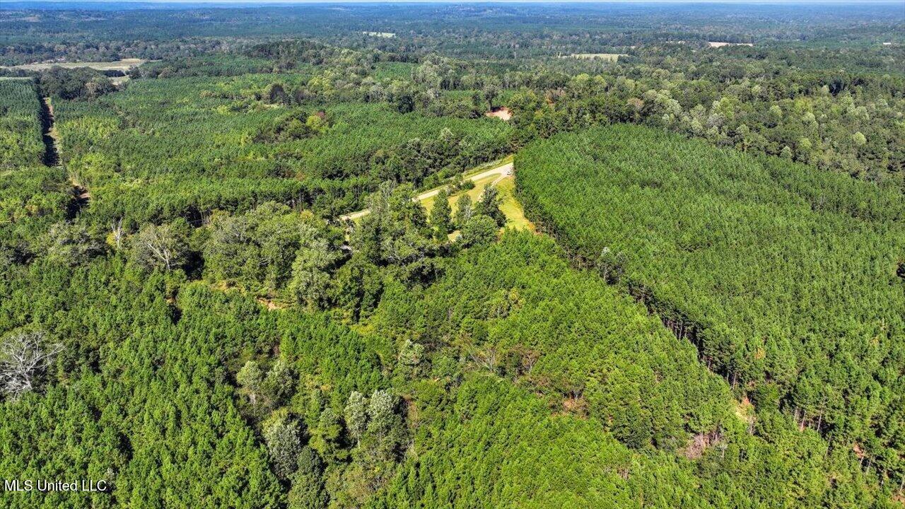 2694 Highway 501 Raleigh, MS 39153 - Photo 44 of 77 46-2694 MS-501 _ Home Tours MS