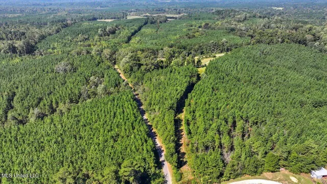 $394,900 | 2694 Highway 501, Raleigh, MS 39153