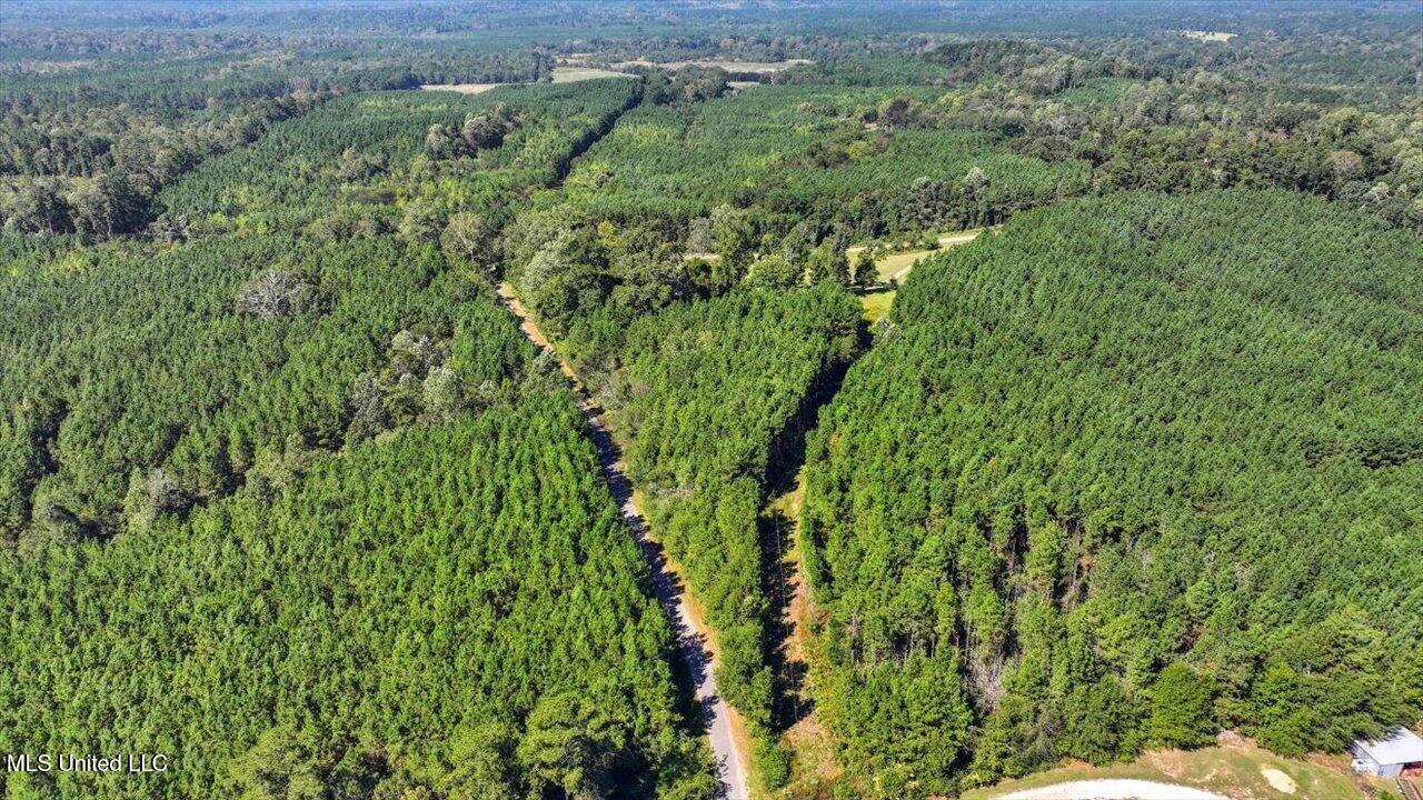 2694 Highway 501 Raleigh, MS 39153 - Photo 45 of 77 47-2694 MS-501 _ Home Tours MS