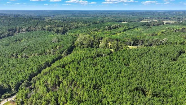 $375,000 | 2694 Highway 501, Raleigh, MS 39153