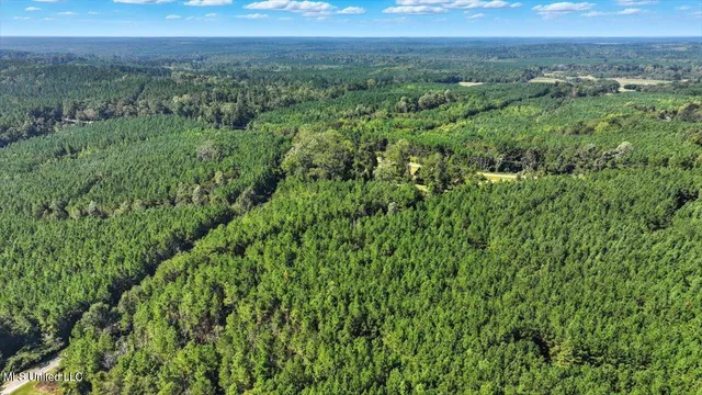 $394,900 | 2694 Highway 501, Raleigh, MS 39153