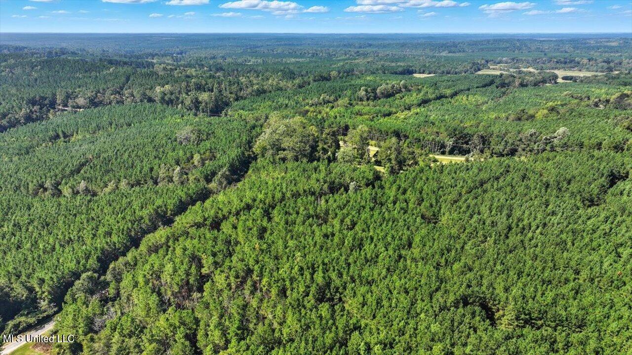 2694 Highway 501 Raleigh, MS 39153 - Photo 46 of 77 48-2694 MS-501 _ Home Tours MS