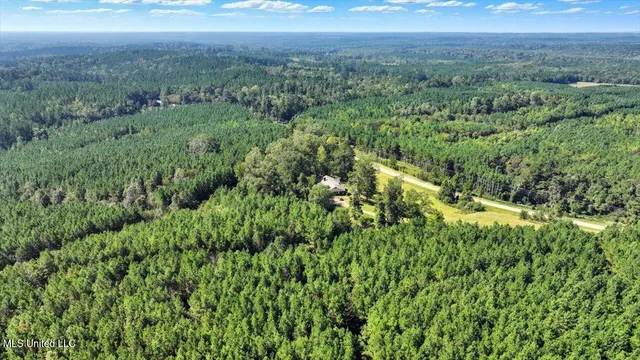 $394,900 | 2694 Highway 501, Raleigh, MS 39153