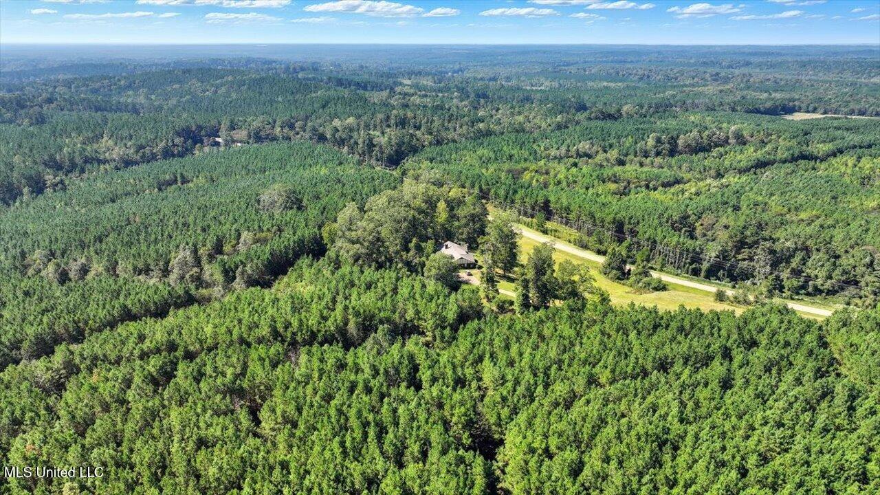 2694 Highway 501 Raleigh, MS 39153 - Photo 47 of 77 49-2694 MS-501 _ Home Tours MS