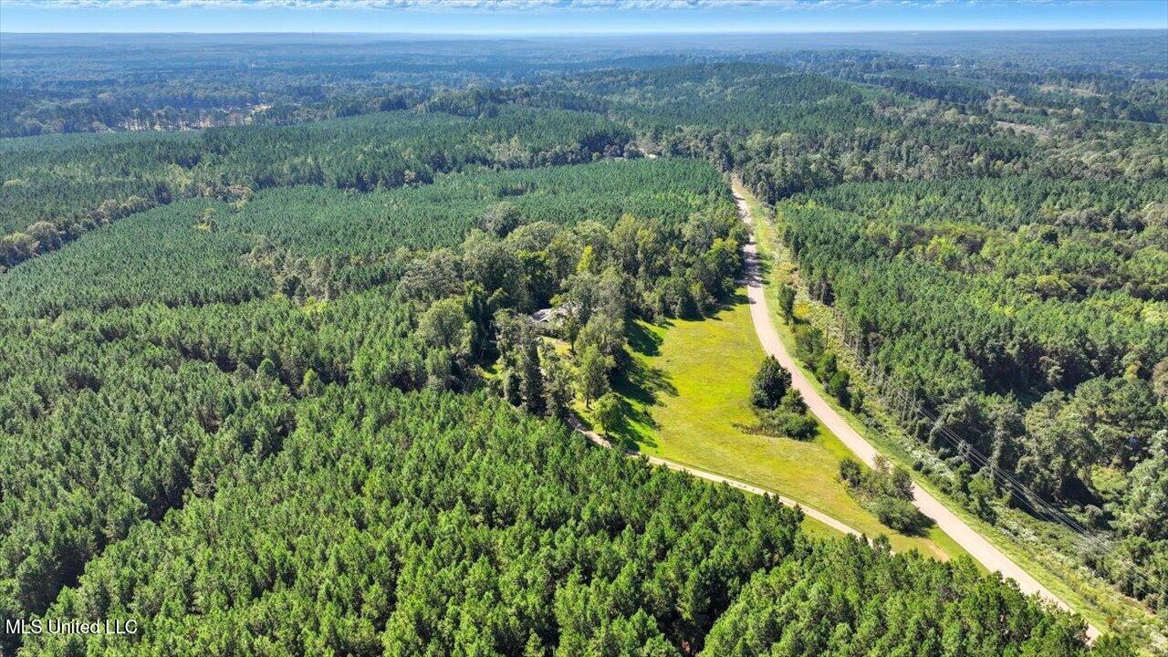 2694 Highway 501 Raleigh, MS 39153 - Photo 48 of 77 50-2694 MS-501 _ Home Tours MS