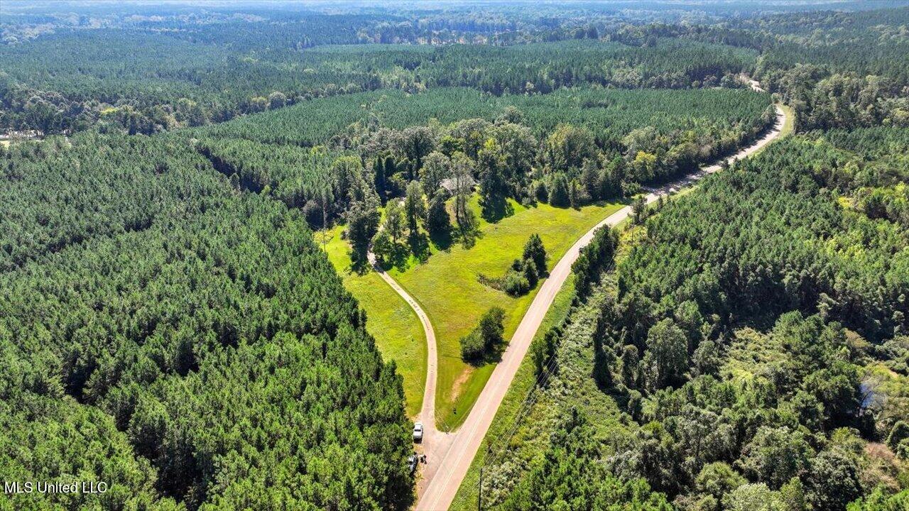 2694 Highway 501 Raleigh, MS 39153 - Photo 49 of 77 51-2694 MS-501 _ Home Tours MS