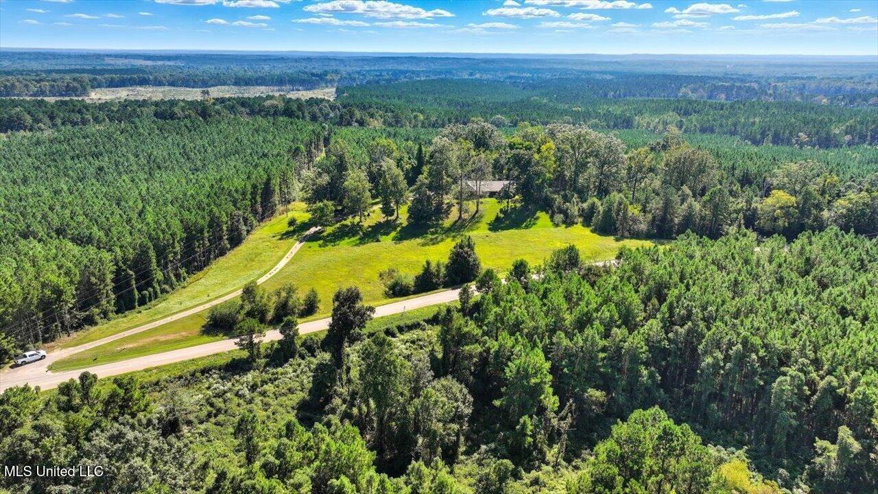 2694 Highway 501 Raleigh, MS 39153 - Photo 51 of 77 53-2694 MS-501 _ Home Tours MS