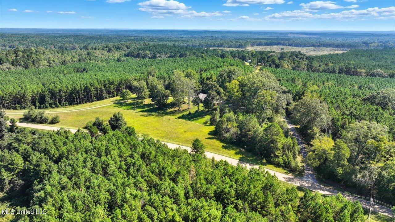 2694 Highway 501 Raleigh, MS 39153 - Photo 52 of 77 54-2694 MS-501 _ Home Tours MS