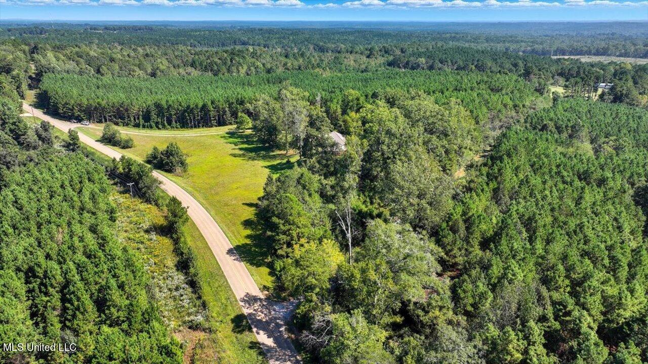 2694 Highway 501 Raleigh, MS 39153 - Photo 53 of 77 55-2694 MS-501 _ Home Tours MS