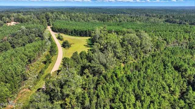 $394,900 | 2694 Highway 501, Raleigh, MS 39153