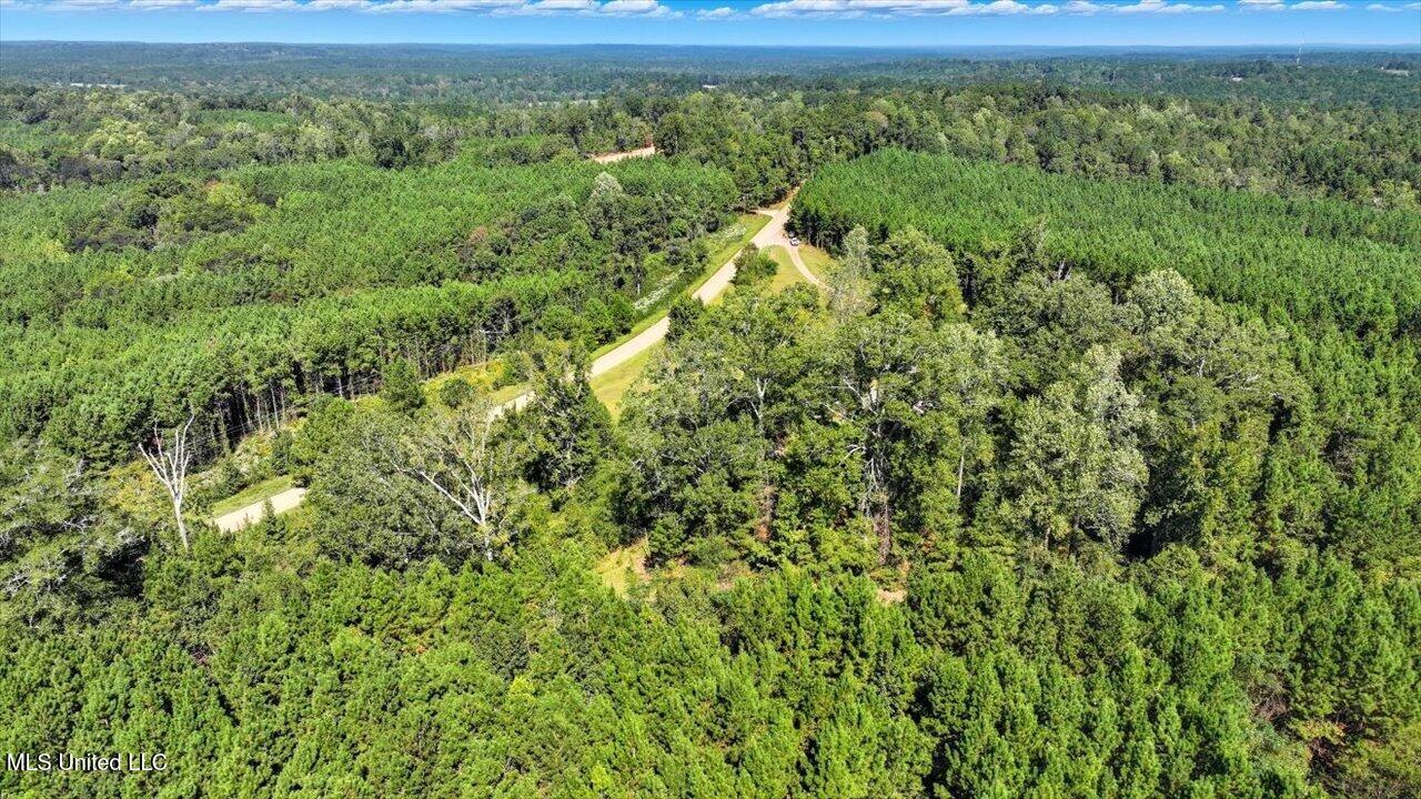 2694 Highway 501 Raleigh, MS 39153 - Photo 55 of 77 57-2694 MS-501 _ Home Tours MS