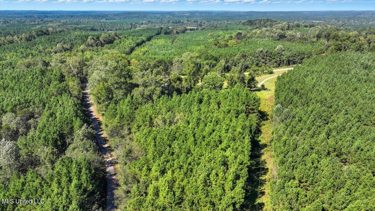 2694 Highway 501 Raleigh, MS 39153 - Photo 56 of 77 58-2694 MS-501 _ Home Tours MS