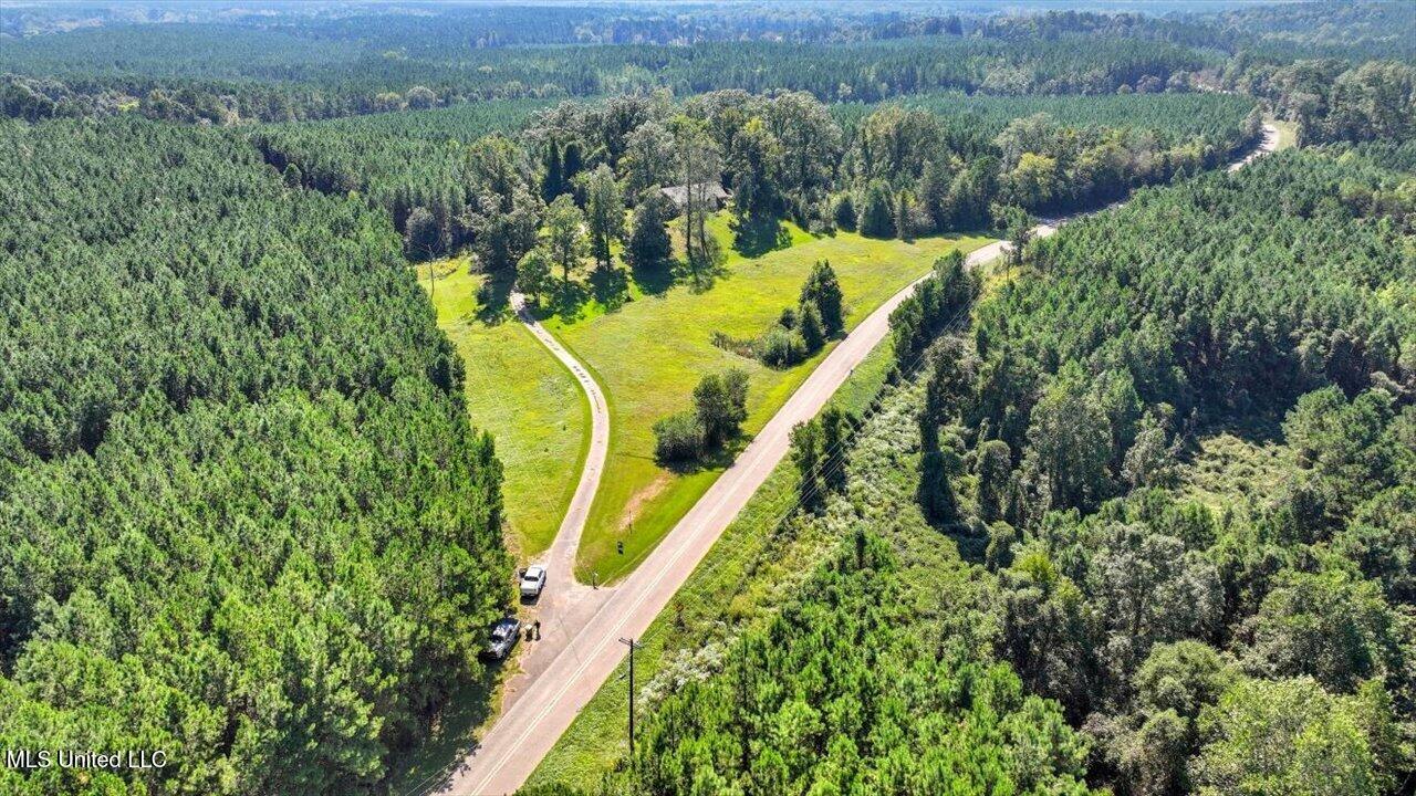 2694 Highway 501 Raleigh, MS 39153 - Photo 58 of 77 60-2694 MS-501 _ Home Tours MS