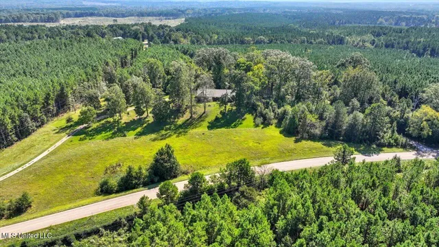 $394,900 | 2694 Highway 501, Raleigh, MS 39153