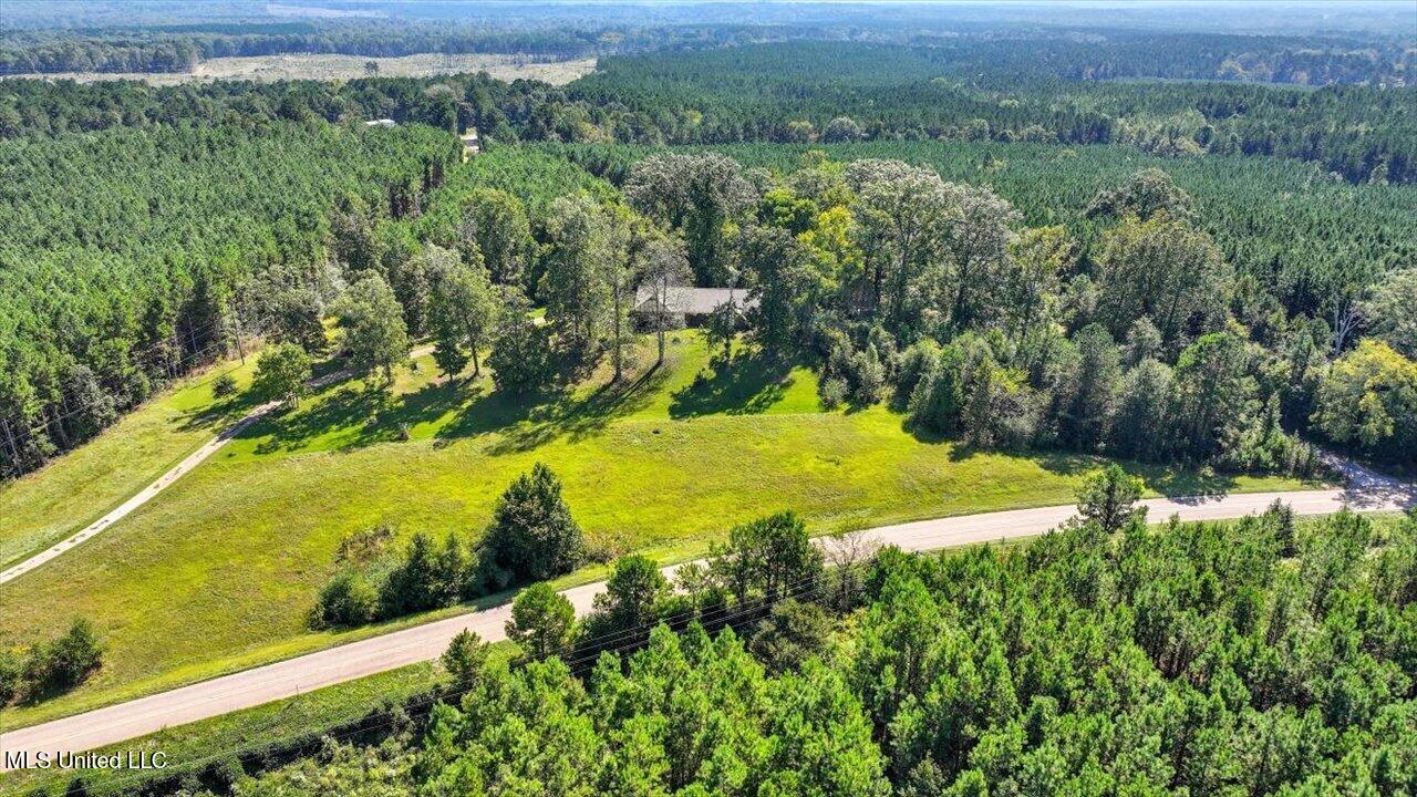 2694 Highway 501 Raleigh, MS 39153 - Photo 59 of 77 61-2694 MS-501 _ Home Tours MS