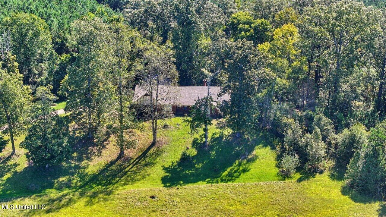 2694 Highway 501 Raleigh, MS 39153 - Photo 60 of 77 62-2694 MS-501 _ Home Tours MS