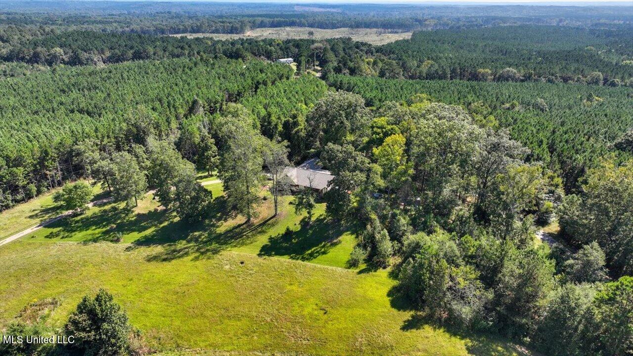 2694 Highway 501 Raleigh, MS 39153 - Photo 61 of 77 63-2694 MS-501 _ Home Tours MS