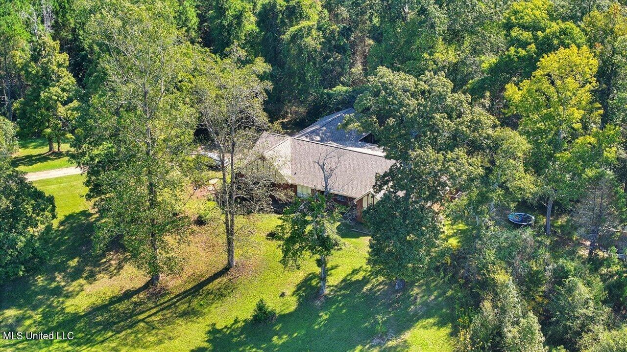 2694 Highway 501 Raleigh, MS 39153 - Photo 62 of 77 64-2694 MS-501 _ Home Tours MS