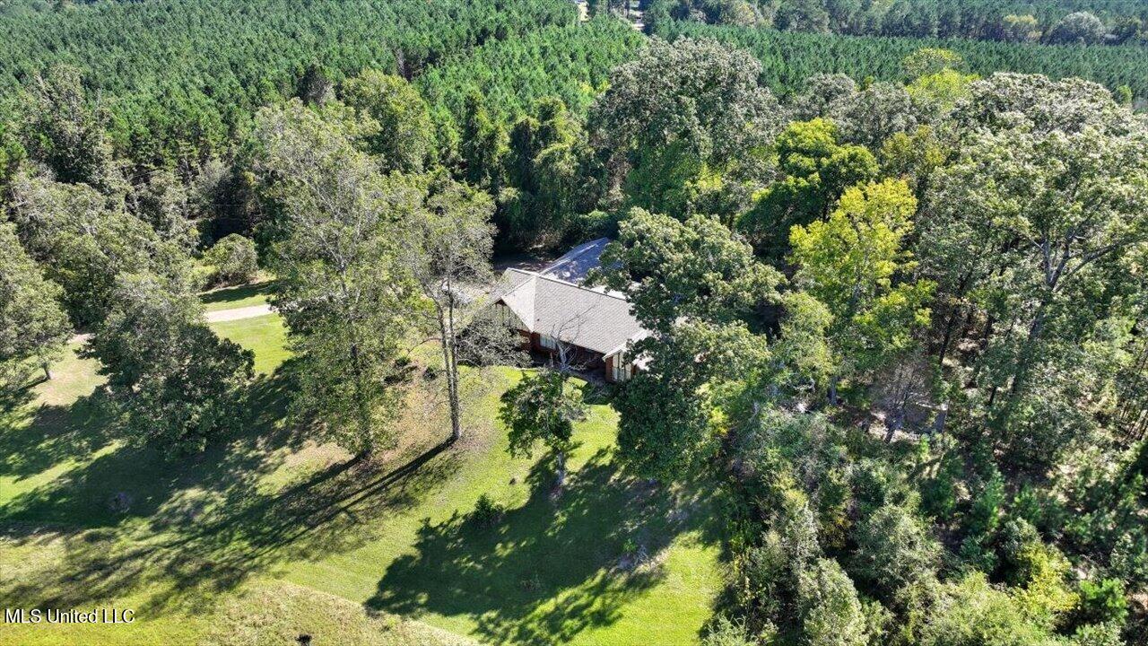 2694 Highway 501 Raleigh, MS 39153 - Photo 64 of 77 65-2694 MS-501 _ Home Tours MS