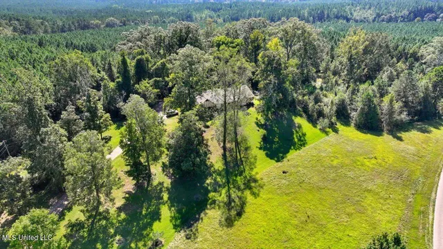 $394,900 | 2694 Highway 501, Raleigh, MS 39153