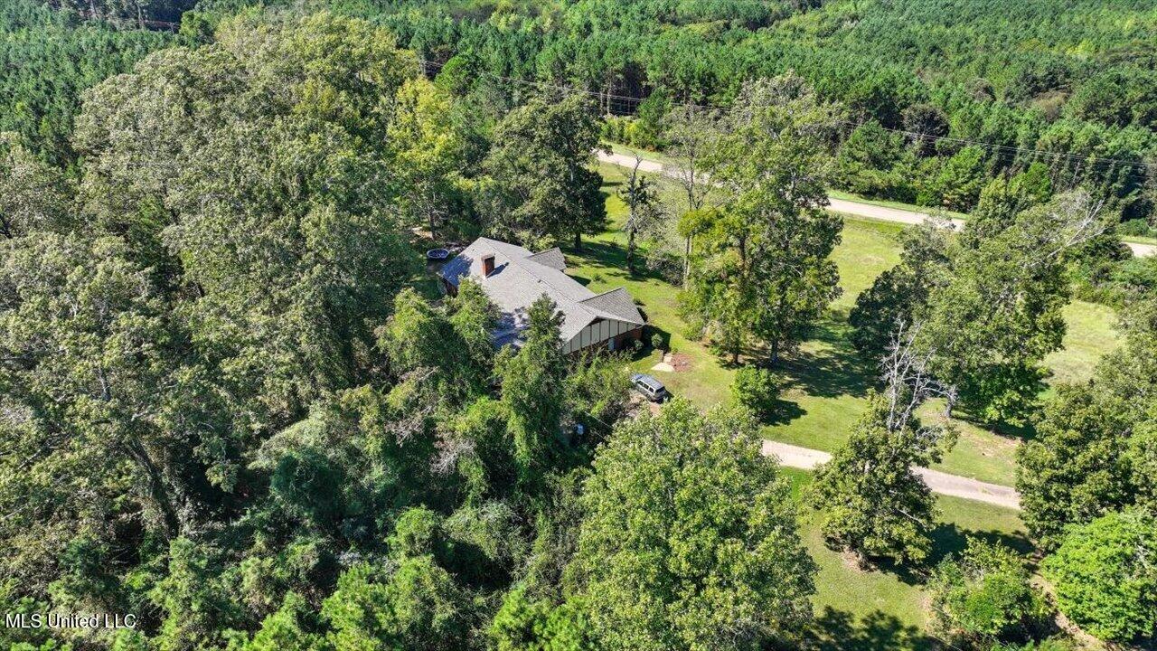 2694 Highway 501 Raleigh, MS 39153 - Photo 70 of 77 71-2694 MS-501 _ Home Tours MS