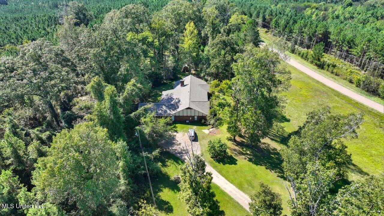 2694 Highway 501 Raleigh, MS 39153 - Photo 71 of 77 72-2694 MS-501 _ Home Tours MS