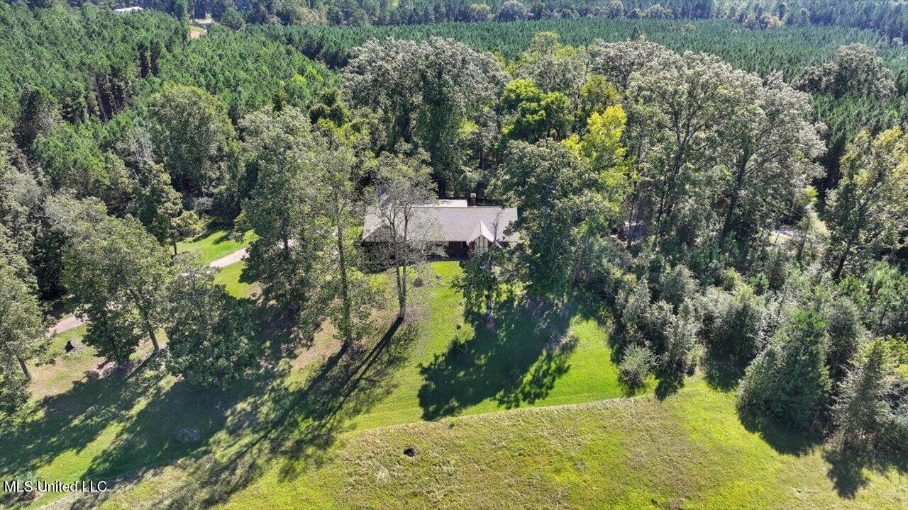 2694 Highway 501 Raleigh, MS 39153 - Photo 72 of 77 73-2694 MS-501 _ Home Tours MS