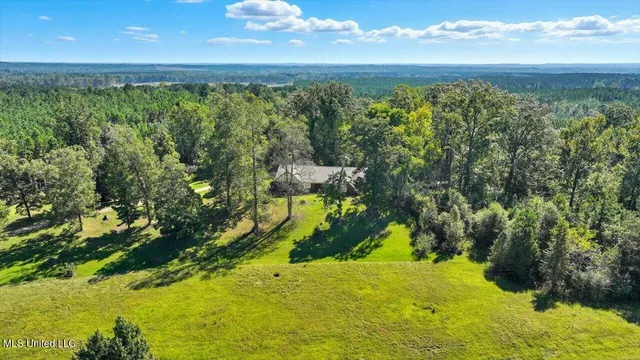 $394,900 | 2694 Highway 501, Raleigh, MS 39153