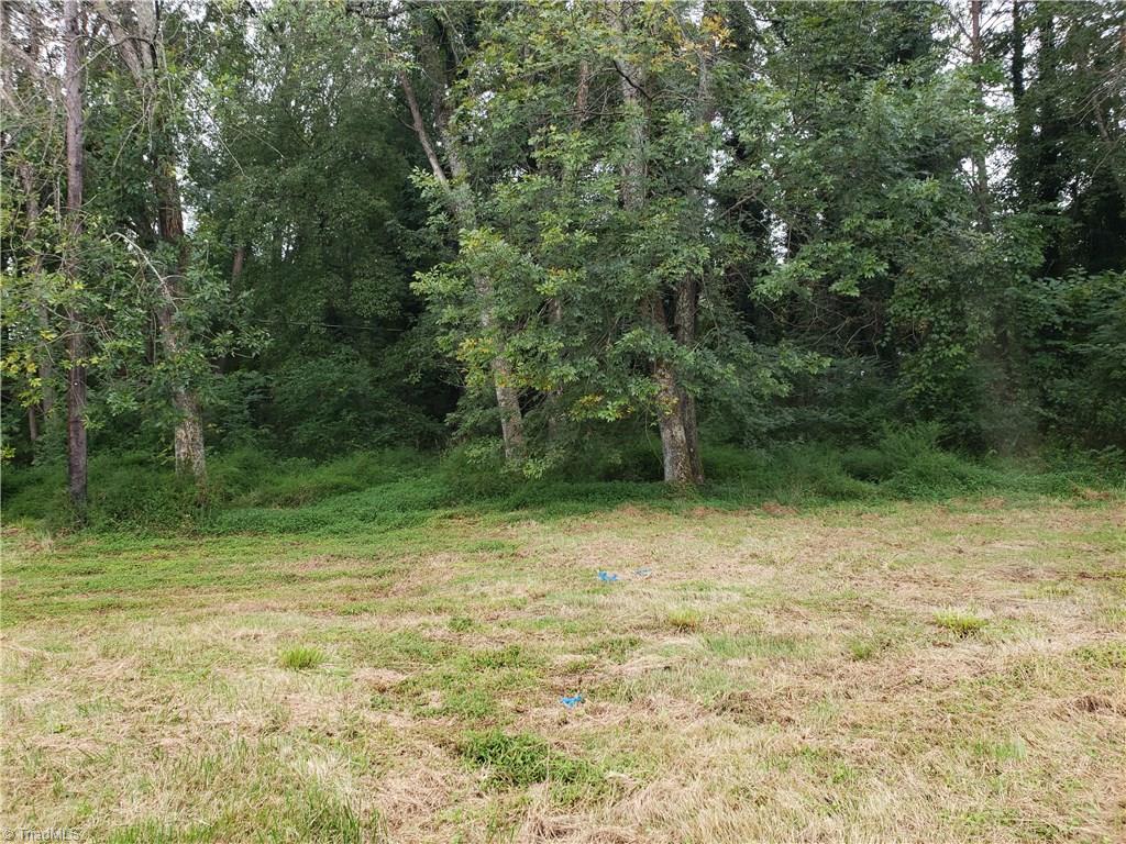 774 Shady Grove Road Eden, NC 27288 - Photo 4 of 6 Back yard