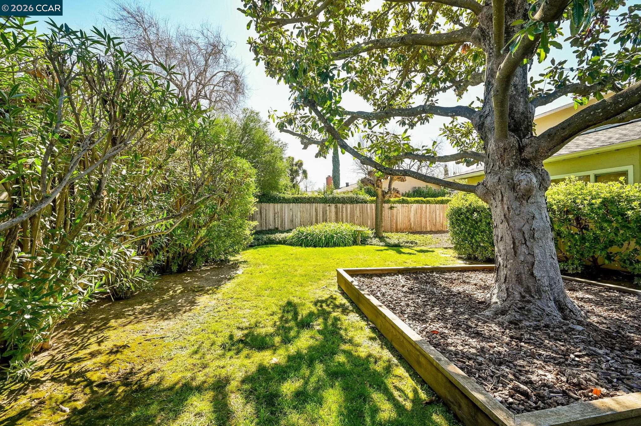 414 Peppertree Road Walnut Creek, CA 94598 - Photo 31 of 49 a view of a garden with a tree