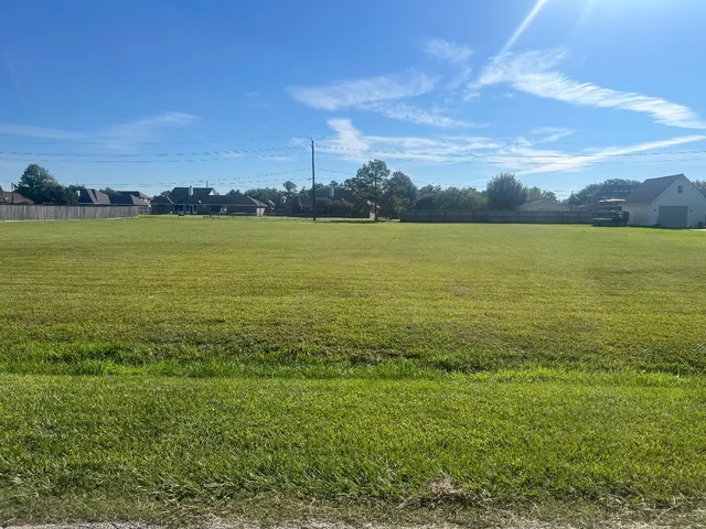 a view of an ocean from a yard
