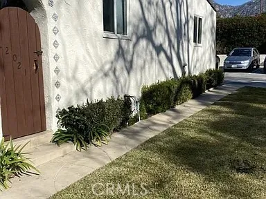 a couple of flower plants in front of door
