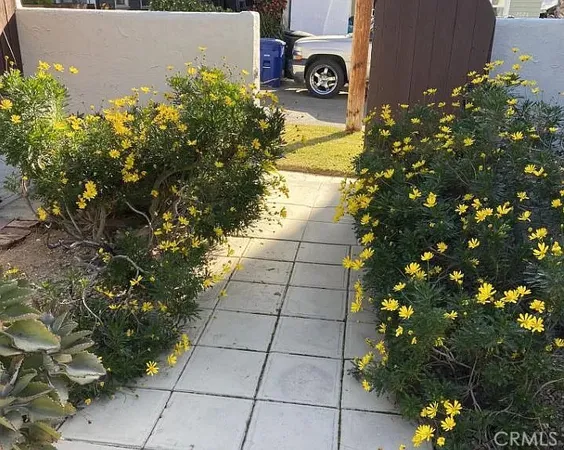 a picture of flowers