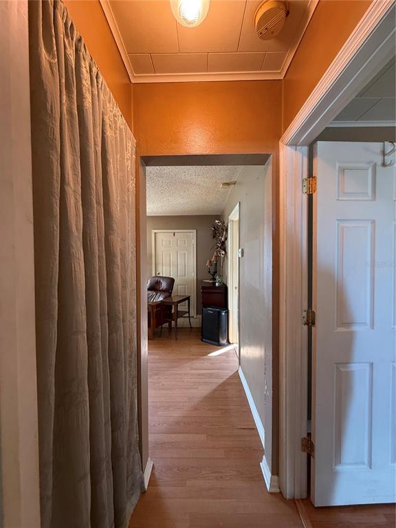 6243 Main Street New Port Richey, FL 34653 - Photo 12 of 21