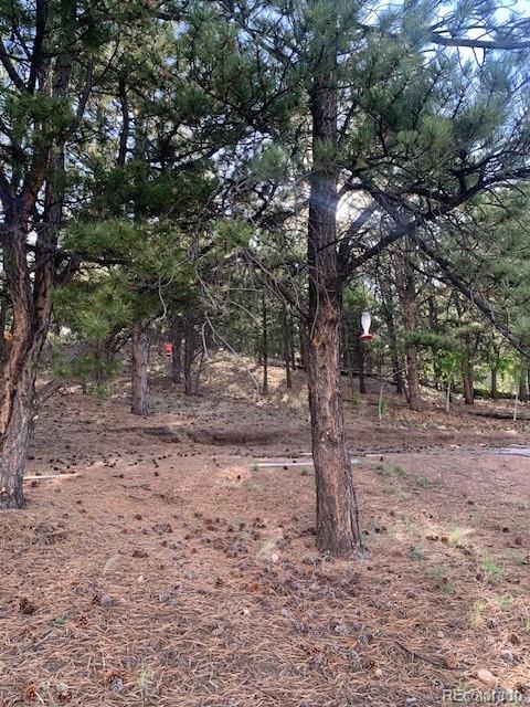 1731 Badger Creek Road Hartsel, CO 80449 - Photo 11 of 13 Gallery Image 11
