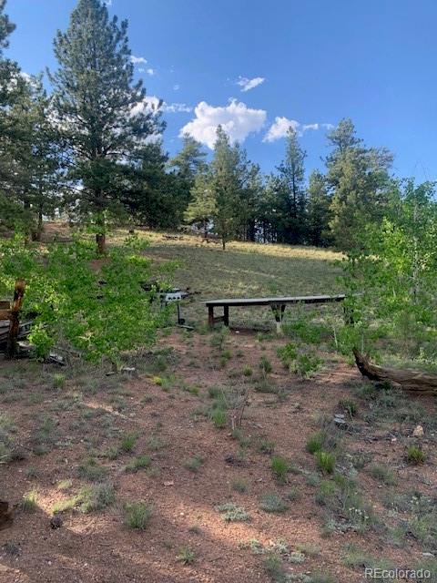 1731 Badger Creek Road Hartsel, CO 80449 - Photo 12 of 13 Gallery Image 12