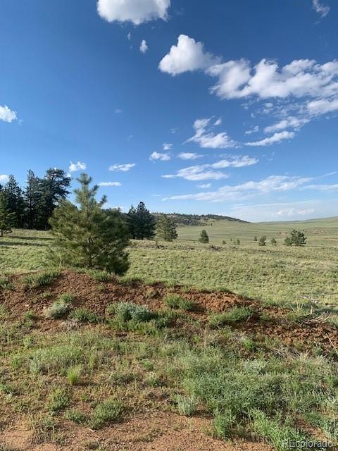 1731 Badger Creek Road Hartsel, CO 80449 - Photo 9 of 13 Gallery Image 9