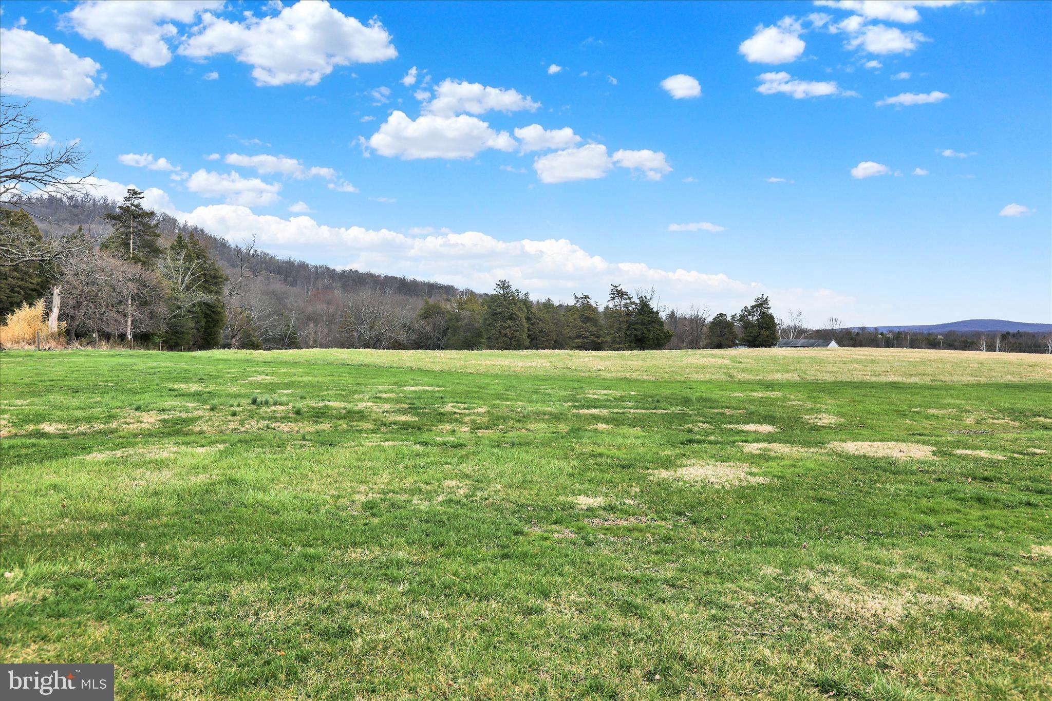 3027 Limekiln Road Birdsboro, PA 19508 - Photo 35 of 37 a view of a grassy field with an trees